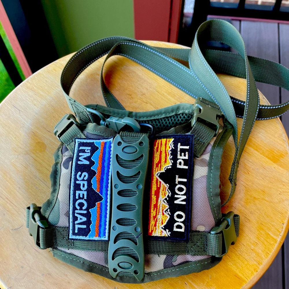 Cat Tactical Harness/Pet Vest #1 and leash